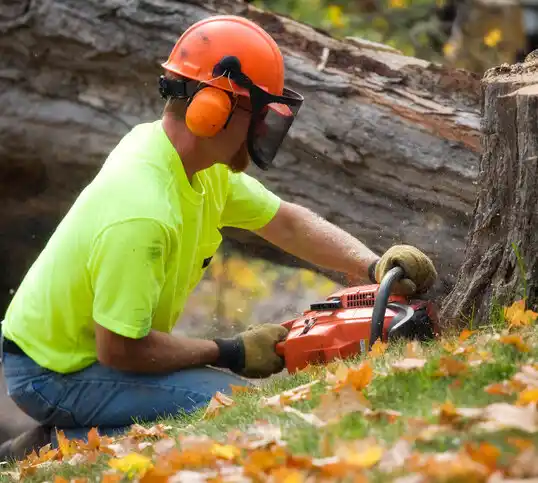 tree services Montrose